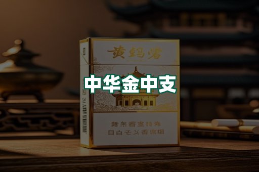 中华金中支
